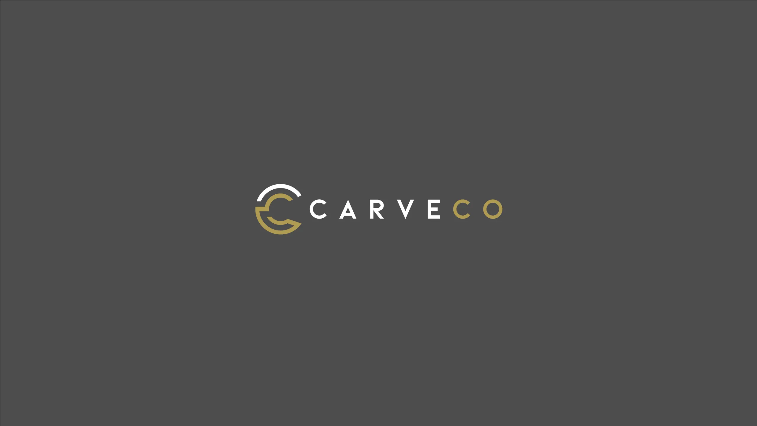 Carveco brand identity 2